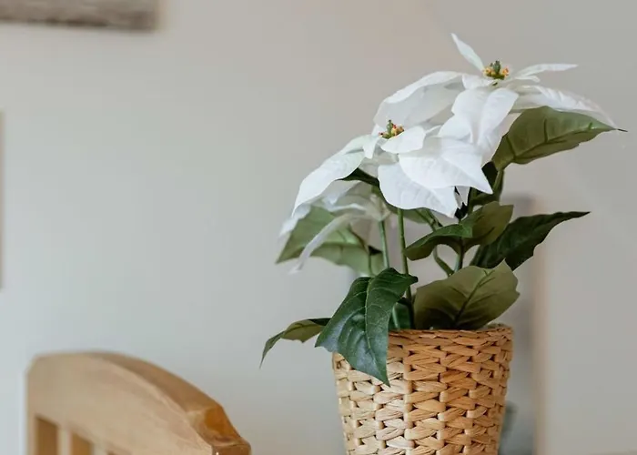 Huswell - Bright Duplex Close To The Sea Appartement